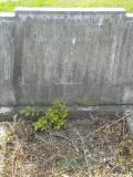image of grave number 118701